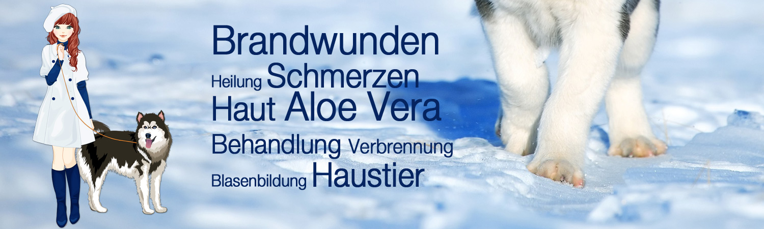 Brandwunden Heilung Schmerzen Haut Aloe Vera Behandlung Verbrennung Blasenbildung Haustier